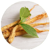 Panaxginseng