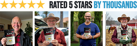 Black-Wood-Tea Customer reviews