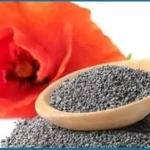 California Poppy poppy Seed