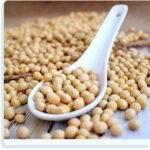 Nattokinase