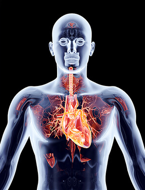 Oxygen Flow